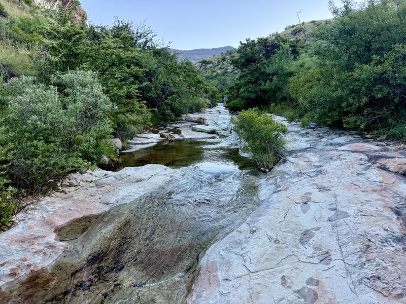 0 Bedroom Property for Sale in Fouriesburg Free State